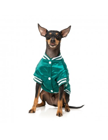 Baseballjacke für Hunde FuzzYard Fastball in Grün