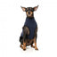 Sherpa-Hundeweste FuzzYard Fitzroy in Marineblau