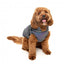 Reflektierende Hundejacke mit Geschirr FuzzYard Flash