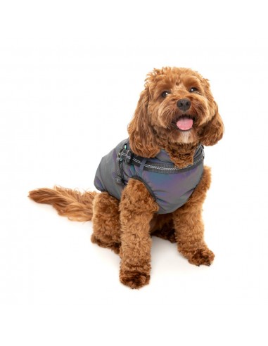 Reflektierende Hundejacke mit Geschirr FuzzYard Flash