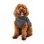 Reflektierende Hundejacke mit Geschirr FuzzYard Flash