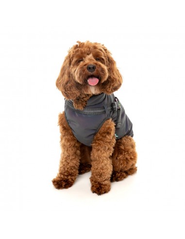 Reflektierende Hundejacke mit Geschirr FuzzYard Flash