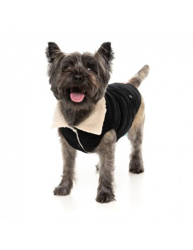 Hundejacke mit Teddyfutter FuzzYard Frontier in Schwarz