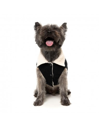 Hundejacke mit Teddyfutter FuzzYard Frontier in Schwarz
