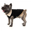 Hundejacke mit Teddyfutter FuzzYard Frontier in Schwarz