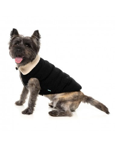 Hundejacke mit Teddyfutter FuzzYard Frontier in Schwarz