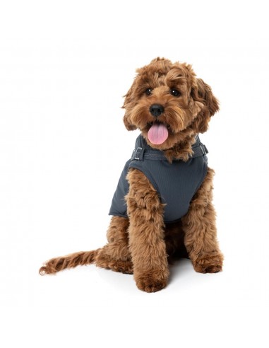 Hundejacke mit Geschirr FuzzYard Horizon in Navy