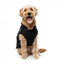 Hundejacke mit Geschirr FuzzYard Horizon in Schwarz