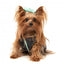 Hundemantel FuzzYard Nara 25 wendbar in Grau