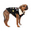 Hundejacke mit Teddyfutter FuzzYard Rep It ClubHouse