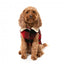 Hundemantel FuzzYard Lumberjack 25 in Rot