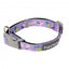 FuzzYard Aloha Dolphins Neopren-Hundehalsband (Größe M)