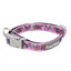FuzzYard Fiesta Neopren-Hundehalsband (Größe M)