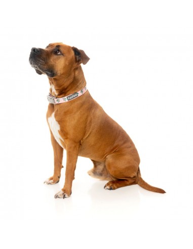 FuzzYard LL Cool Jaw Neopren-Hundehalsband (Größe M)
