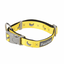 FuzzYard Monkey Mania Neopren-Hundehalsband (Größe L)