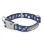 FuzzYard Pluto Pup Neopren-Hundehalsband (Größe L)