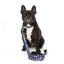 FuzzYard Pluto Pup Neopren-Hundehalsband (Größe XS)