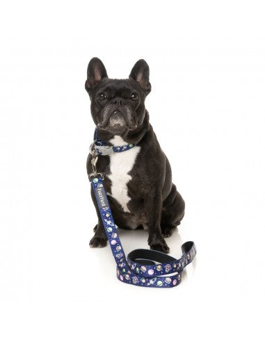 FuzzYard Pluto Pup Neopren-Hundehalsband (Größe XS)