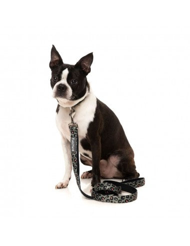 FuzzYard Savanna Neopren-Hundehalsband (Größe S)