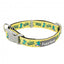 FuzzYard Sk8ter Gator Neopren-Hundehalsband (Größe M)