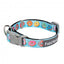 FuzzYard You Drive Me Glazy Neopren-Hundehalsband (Größe S)