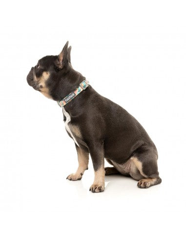 FuzzYard Carioca Neopren-Hundehalsband (Größe S)