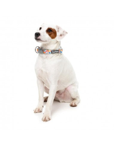 FuzzYard Fresh Zest Neopren-Hundehalsband (Größe M)