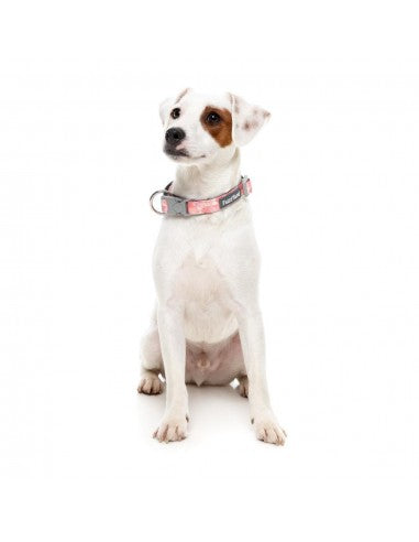 FuzzYard Pink Lemonade Neopren-Hundehalsband (Größe L)