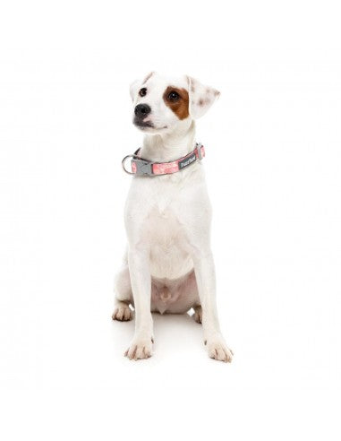FuzzYard Pink Lemonade Neopren-Hundehalsband (Größe S)