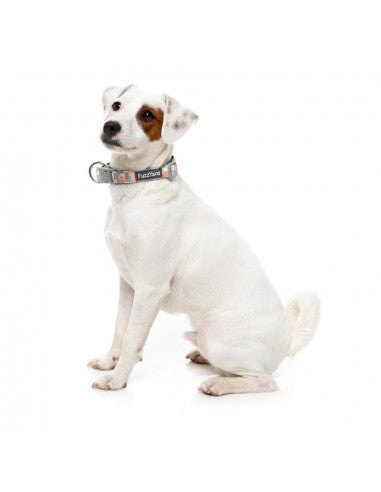 FuzzYard Yazd gepolstertes Neopren-Hundehalsband (Größe S)