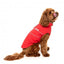 Wasserdichter Hunderegenmantel FuzzYard Breaker in Rot