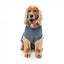 FuzzYard Allday 25 Hundepullover aus Baumwolle in Blau