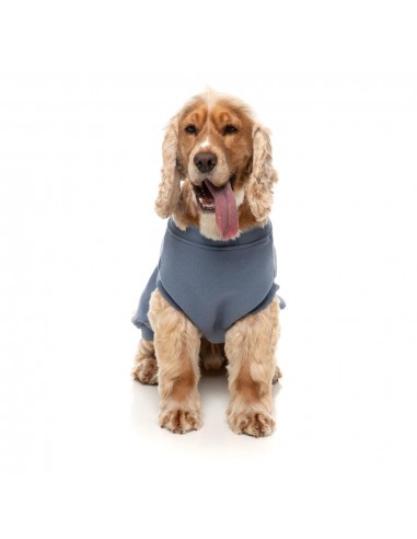 FuzzYard Allday 25 Hundepullover aus Baumwolle in Blau