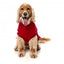 FuzzYard Allday 25 Hundepullover aus Baumwolle in Rot