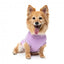 FuzzYard Allday Hundepullover aus Baumwolle in Flieder