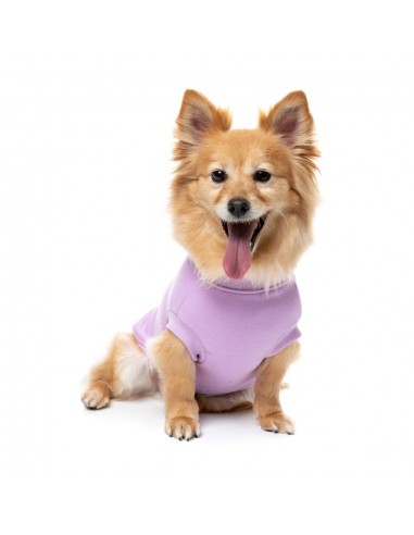 FuzzYard Allday Hundepullover aus Baumwolle in Flieder
