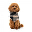 Teddyfleece-Pullover für Hunde FuzzYard Checkered Teddy in Schwarz-Beige