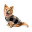 Teddyfleece-Pullover für Hunde FuzzYard Checkered Teddy in Schwarz-Beige