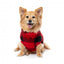 FuzzYard Checkered Teddy Hundepullover in Rot