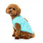 Strickpullover für Hunde FuzzYard FuzzBear in Aqua
