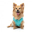 Strickpullover für Hunde FuzzYard FuzzBear in Aqua