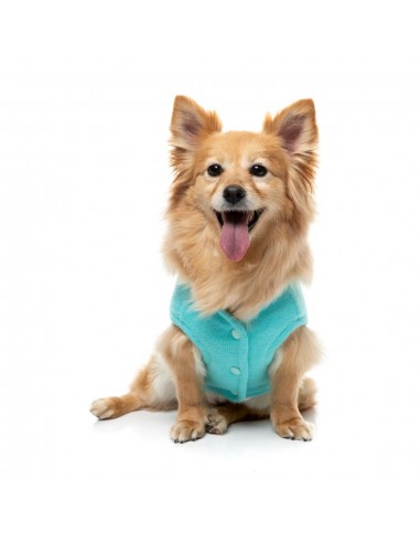 Strickpullover für Hunde FuzzYard FuzzBear in Aqua