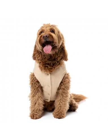 Strickpullover für Hunde FuzzYard FuzzBear in Beige