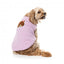 Strickpullover für Hunde FuzzYard FuzzBear in Flieder