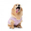 Strickpullover für Hunde FuzzYard FuzzBear in Flieder