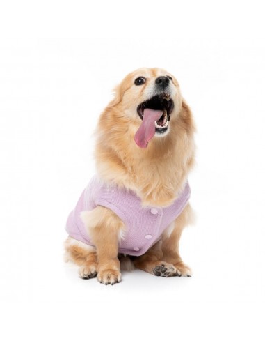 Strickpullover für Hunde FuzzYard FuzzBear in Flieder