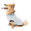 FuzzYard Frosted Teddy Plüsch-Hundepullover in Marineblau