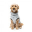 FuzzYard Frosted Teddy Plüsch-Hundepullover in Marineblau