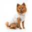 FuzzYard Frosted Teddy Plüsch-Hundepullover in Latte