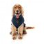 Bestickter Hundepullover FuzzYard Smiley in Navy
